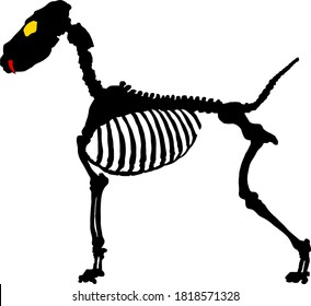 Silhouette of a dog skeleton for Halloween mascot. Vector illustration.