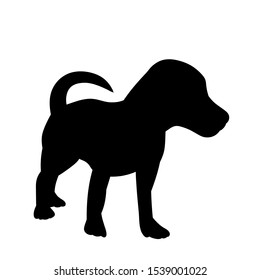  silhouette of a dog standing