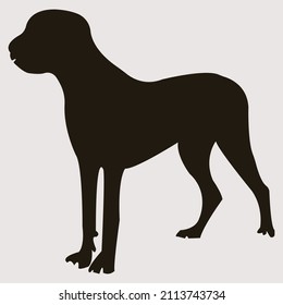 perro de silueta de pie, silueta vectorial.