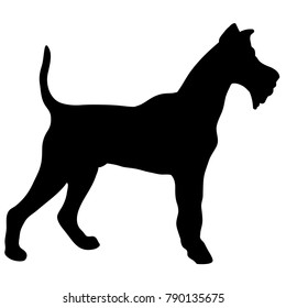 Silhouette of a dog. terrier black illustration