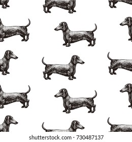 Silhouette of a dog. Vector illustration of dachshund. Hand drawn vintage illustration.