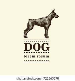 Silhouette of a dog. Vector illustration of doberman pinscher. Hand drawn vintage illustration.
