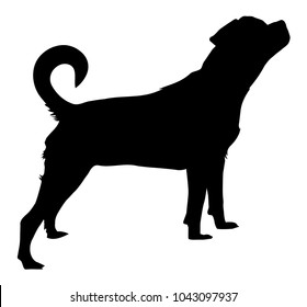 Rottweiler Silhouette Images, Stock Photos & Vectors | Shutterstock