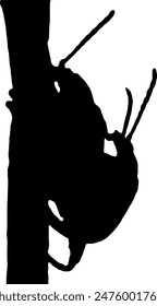 Silhouette Dogbane beetle vector illustration design with black color, creative and simple design

