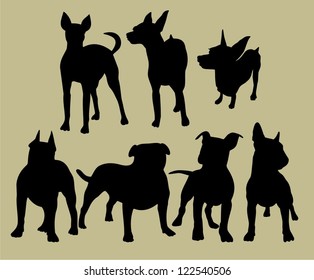 silhouette of the dogs