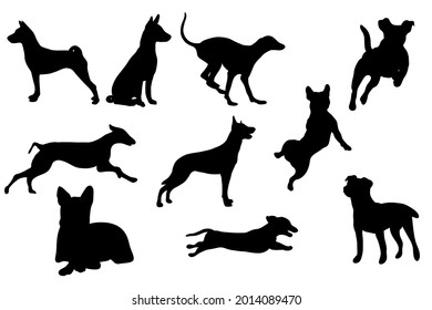 silhouette of dogs activity set vector