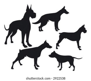 silhouette of dogs isolated on white