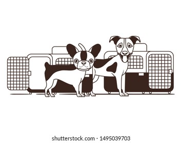 silhouette of dogs and pet transport boxes on white background