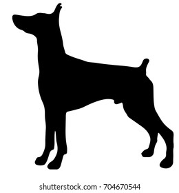 Silhouette of a dog.Vector illustration of doberman pinscher.