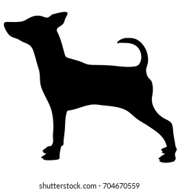 Silhouette of a dog.Vector illustration of doberman pinscher.