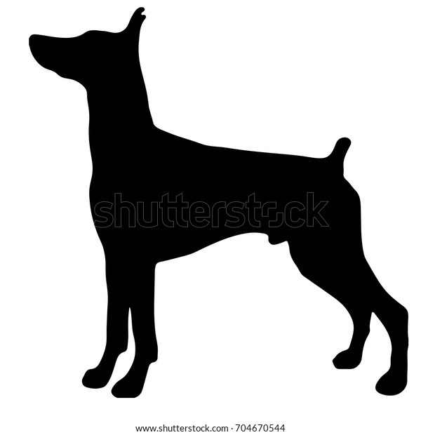 Silhouette of a dog. Vector illustration of Doberman pinscher.