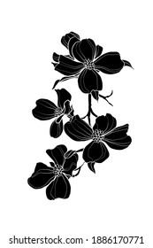 Silhouette Of A Dogwood Branch With Flowers. Black And White Illustration. Vector.