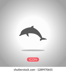 silhouette of dolphin. Icon under spotlight. Gray background