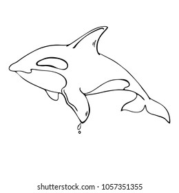 Silhouette dolphin ink sketch. Hand drawn vector illustration.