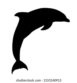 silhouette of a dolphin isolated on white background