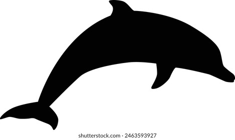 Silhouette of a dolphin isolated on white. Illustration of dolphin animal in wildlife