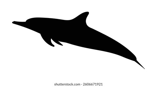 Silhouette dolphin isolated on white background, vector illustration	