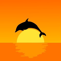 The Silhouette Of A Dolphin Jumping Over The Ocean At Sunset