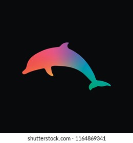 silhouette of dolphin. Rainbow color and dark background