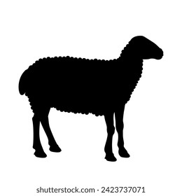 Silhouette of a domestic sheep. Icon of a farm animal. Vector illustration isolated on a white background