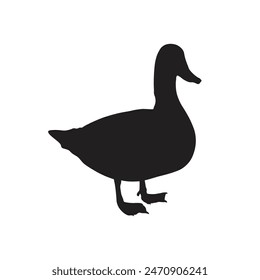 Silhouette of a domestic or wild duck, isolated on a white background.