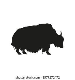 Silhouette of domestic yak. Side view. Vector illustration isolated on white background