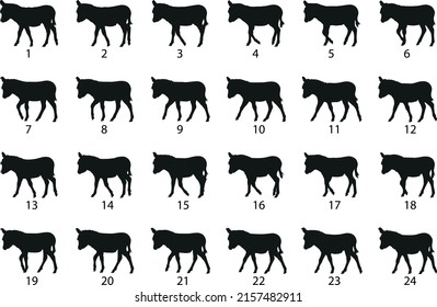 Silhouette Donkey Calf Pasos de Caminata para la Animación (vector)