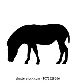 silhouette of a donkey, pony