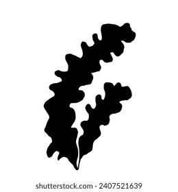 Silhouette, Doodle-Meergras, Algen. Vektorgrafiken.