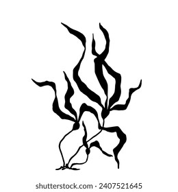 Silhouette, doodle sea grass,algae. Vector graphics.