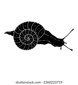Silhouette, doodle of a snail. Vector graphics.