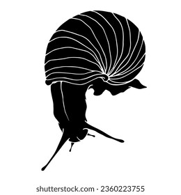 Silhouette, doodle of a snail. Vector graphics.
