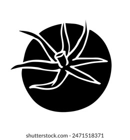 Silhouette, doodle vegetables tomato. Vector graphics.