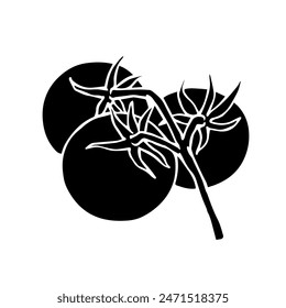 Silueta, garabatos vegetales tomate. Vector gráfico.