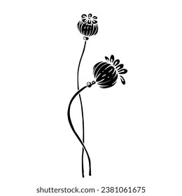 Silhouette, doodle of a wild poppy flower. Vector graphics.