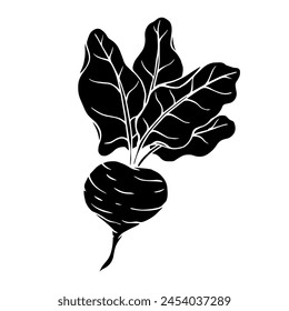 Silhouette, doodles of vegetables, beets. Vector graphics.
