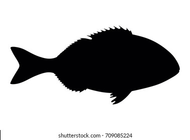 silhouette dorado fish on white background, vector illustration