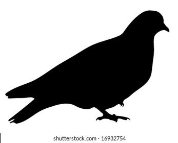 Silhouette of dove