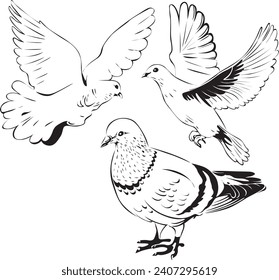 Silhouette of Dove with any angle. Suitable for logo, sticker merchandise, etc. Freehand sketch illustration set Dove doodle stock images. Dove vector icon. Flying Dove isolated background drawing.