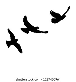 Bird Flock Vector Flying Birds Silhouettes Stock Vector (Royalty Free ...