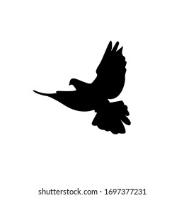 Silhouette of a dove on a white background. Love and peace sign.