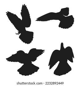 Silhouette of dove, pigeon flight in different positions, hand drawn pack of  bird shapes and figures, isolated vector
