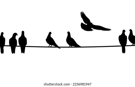 Silhouette of a dove sitting on a wire on a white background. A group of black doves perched. Vector illustration