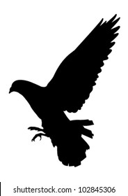 Silhouette of dove that plain/brake his flying./ Dove