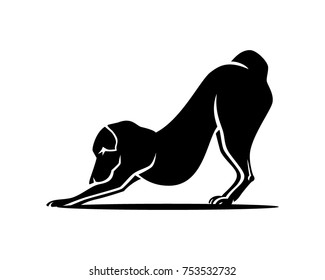 Silhouette Downward Canine Pet Dog
Fitness Workout Activity Bow Pose 