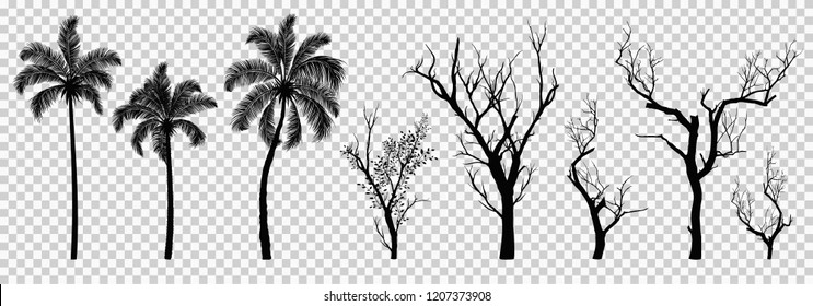 Silhouette of dried tree and palm tree isolated, vector illustration eps10