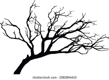 Silhouette Dry Branch Stock Vector (Royalty Free) 2085896410 | Shutterstock