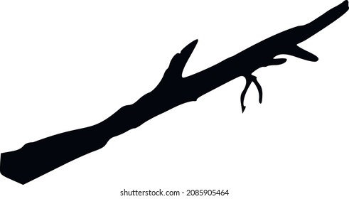 Silhouette of a dry branch