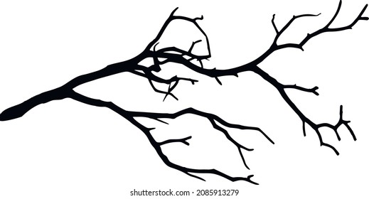 Silhouette of a dry branch