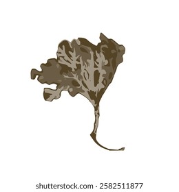 Silhouette of dry brown lichen. Boho minimalist floral element. Black botanical rustic moss isolated on white background.